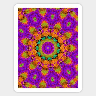 Shamanic psychedelic kaleidoscope Magnet